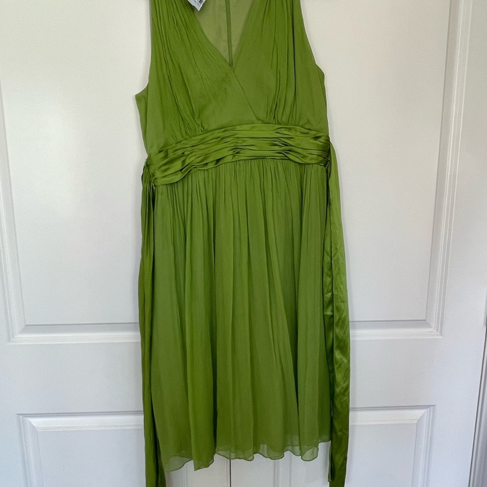 Maggy London Light Green Silk Dress